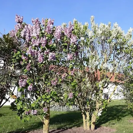 Aux Couleurs De La Baie A Sailly-bray *